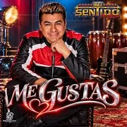 Me Gustas